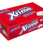 CHICLE XTIME CANELA DISPLAY*100 CJ*24