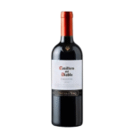 1070 VINO CASILLERO CARMENERE BT*12