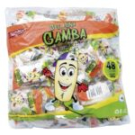 3128 GELATINA DE PATA GAMBA PEQ*48 480GR