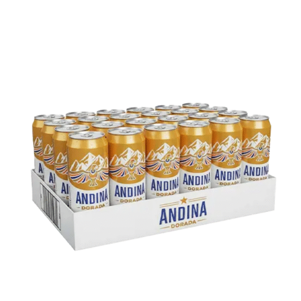 3255 CERVEZA ANDINA 310*24