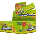 3815 CANDYRANCH MARACULULO *30UND CJ*24