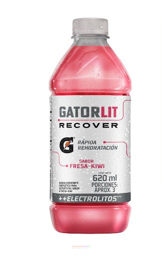 3993 GATORLIT UNIDAD S. FRESA-KIWI *620ML *12